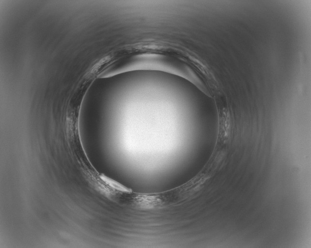 X0000079290333200611171058