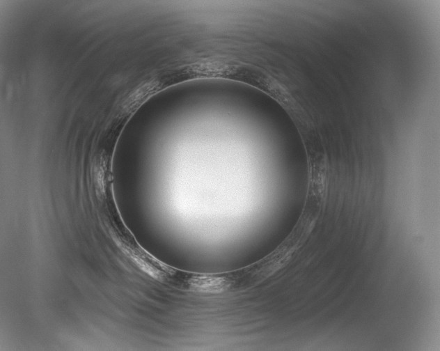 X0000079290334200611171058