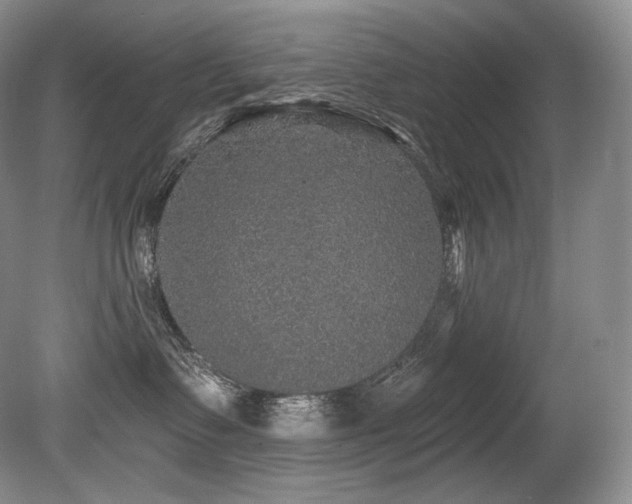 X0000079290335200611171058