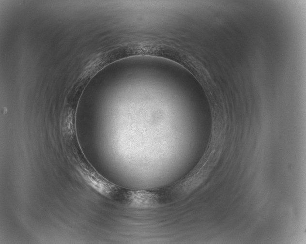 X0000079290336200611171058