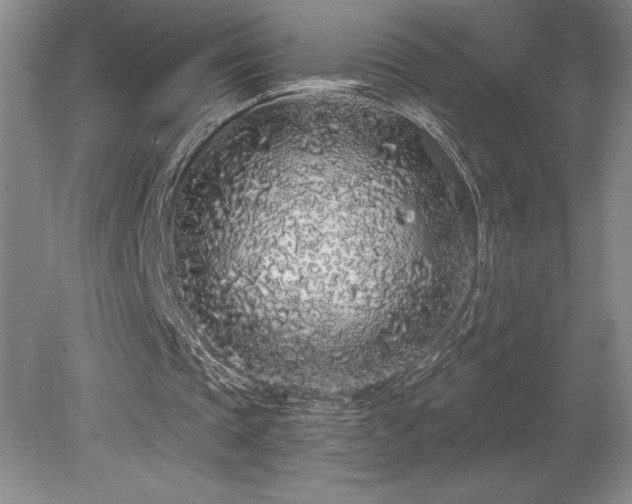 X0000079290337200611171057