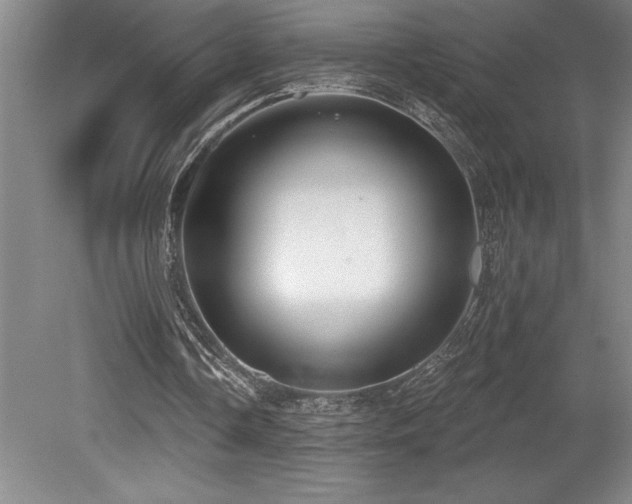 X0000079290338200611171057