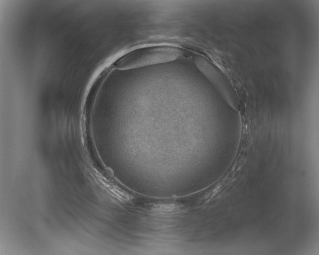 X0000079290342200611171057