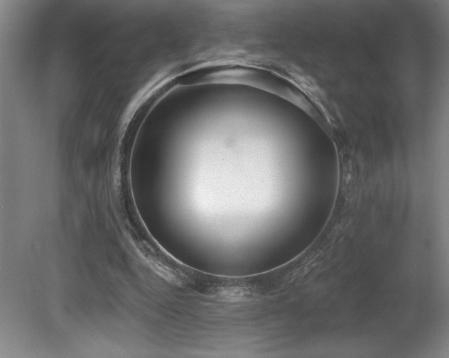X0000079290344200611171057