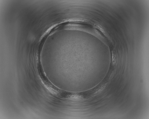 X0000079290348200611171057