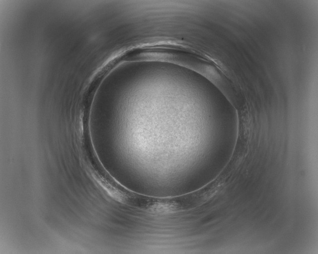 X0000079290350200611171057