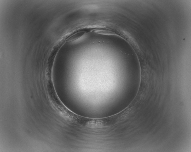 X0000079290354200611171057