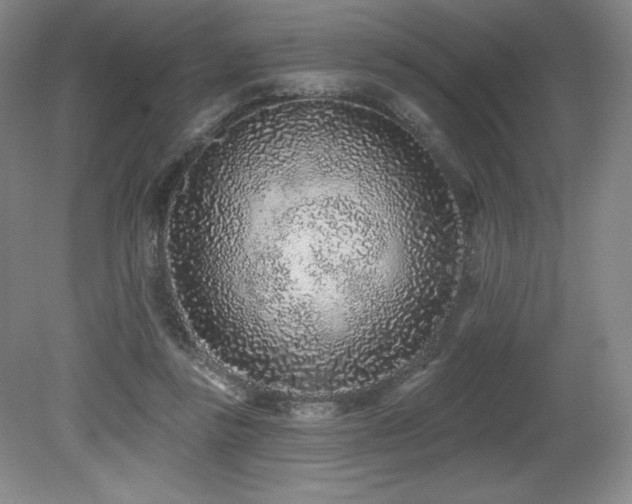 X0000079290355200611171057