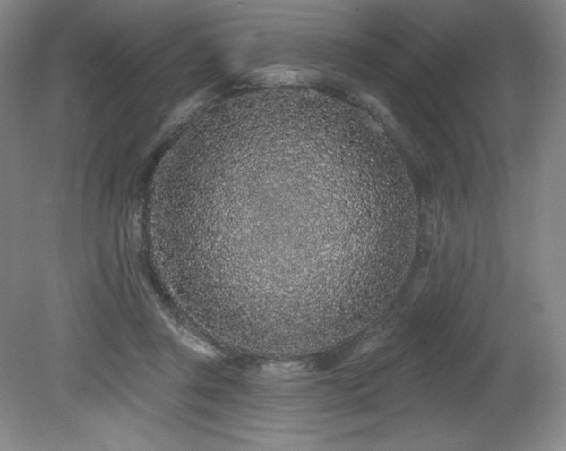 X0000079290357200611171057