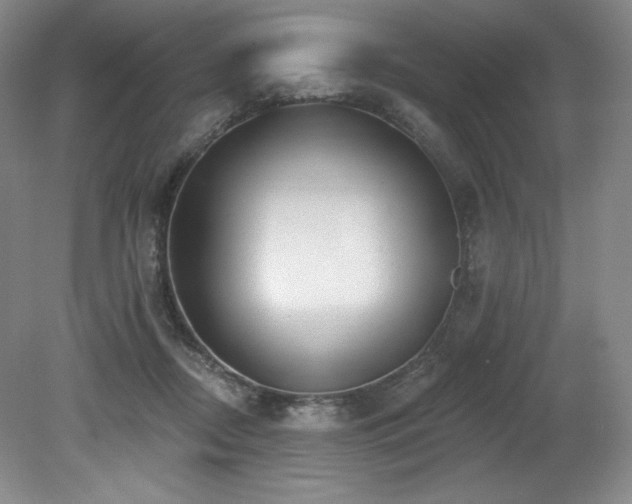 X0000079290362200611171057