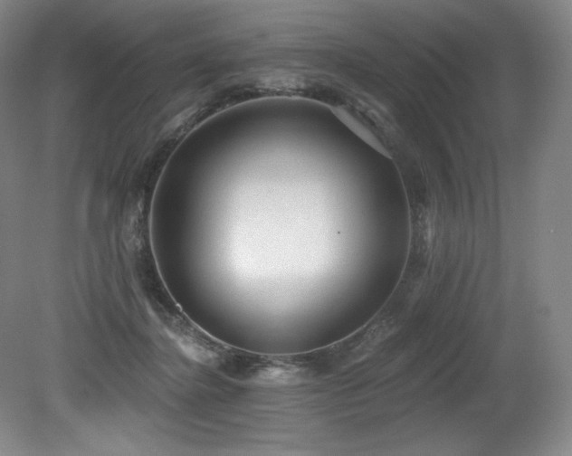 X0000079290364200611171057