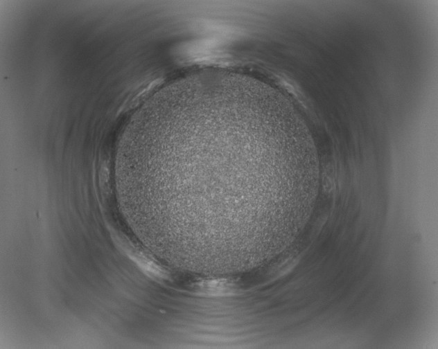 X0000079290365200611171057