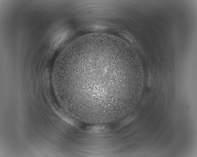 X0000079290366200611171057