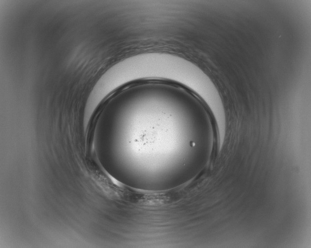 X0000079290368200611171057