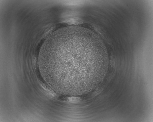 X0000079290371200611171057