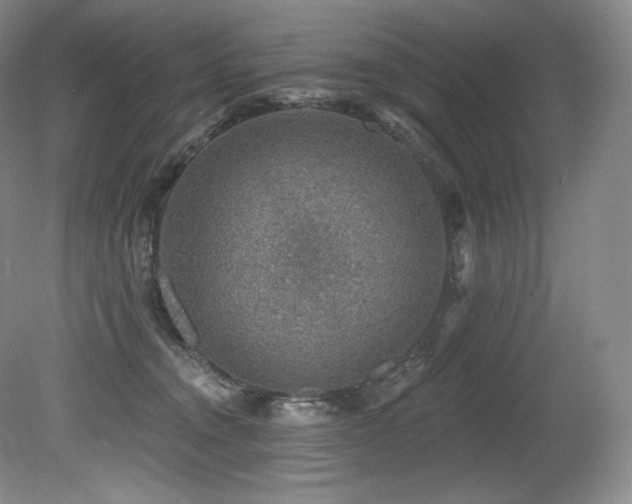 X0000079290372200611171057