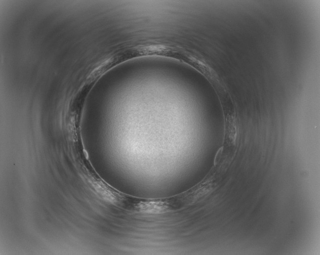 X0000079290378200611171057