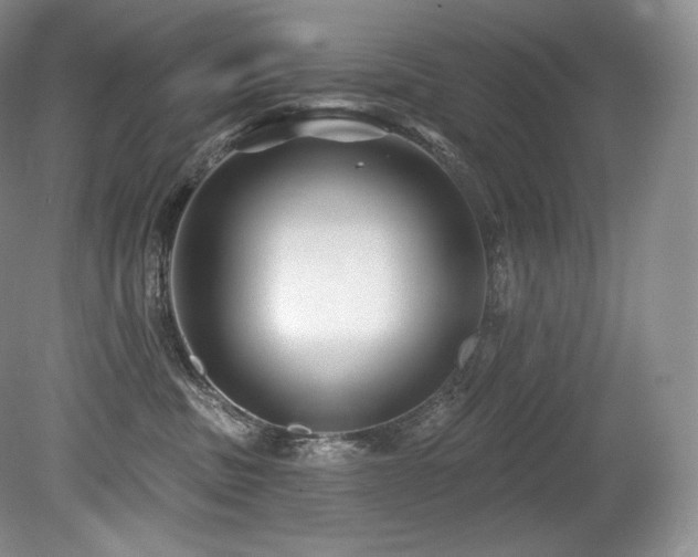 X0000079290379200611171057