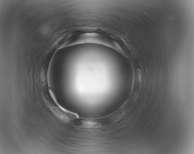 X0000079290380200611171057