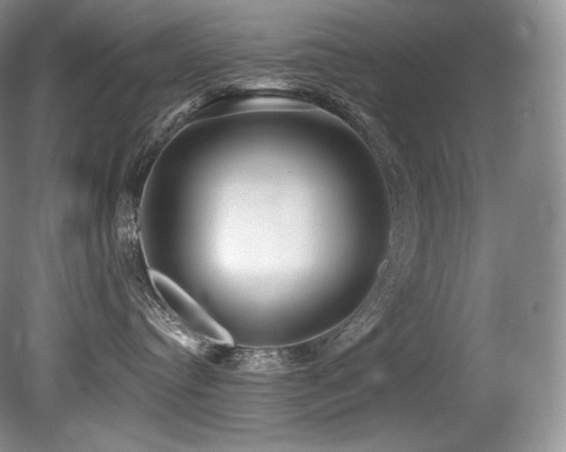 X0000079290384200611171057