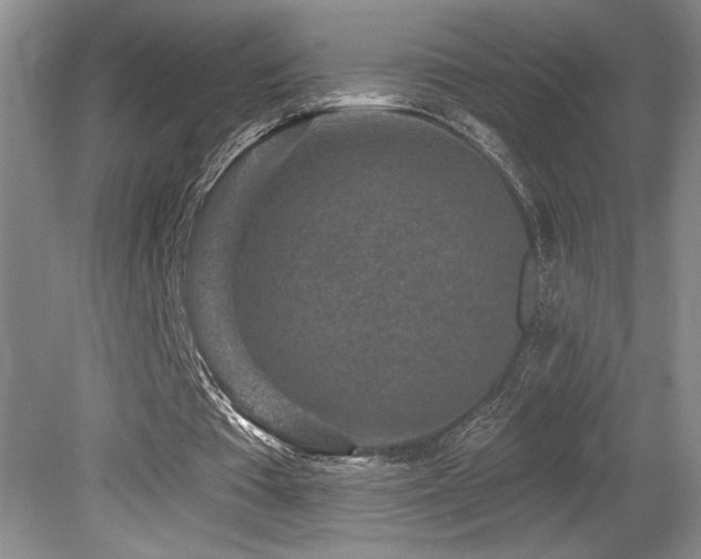 X0000079290385200611171057