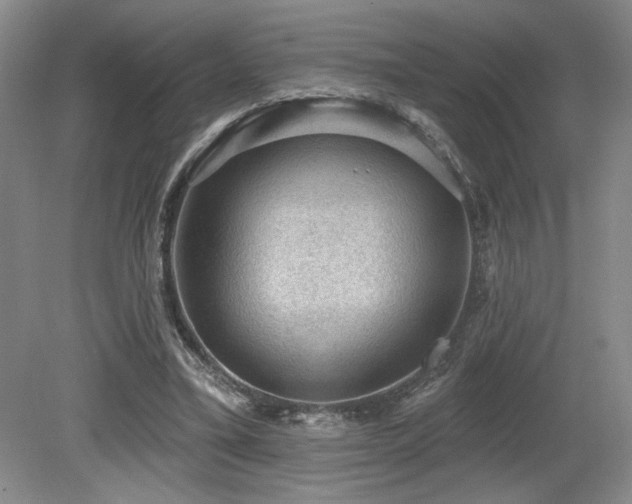 X0000079290395200611171057