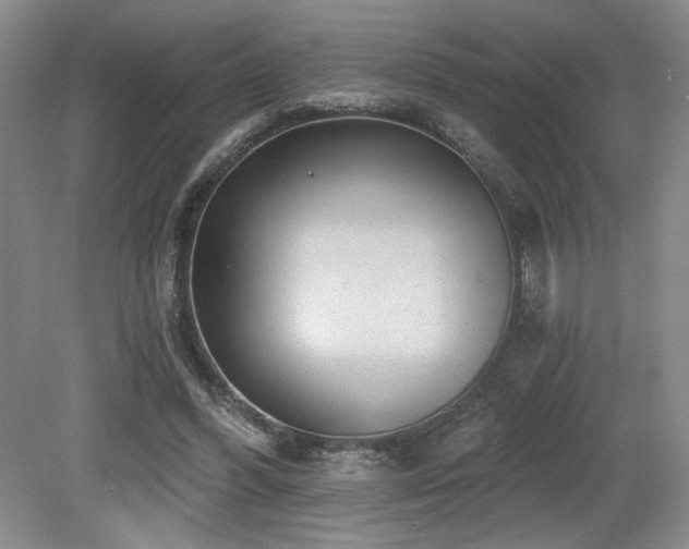 X0000079290396200611171057
