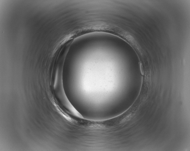X0000079290397200611171056