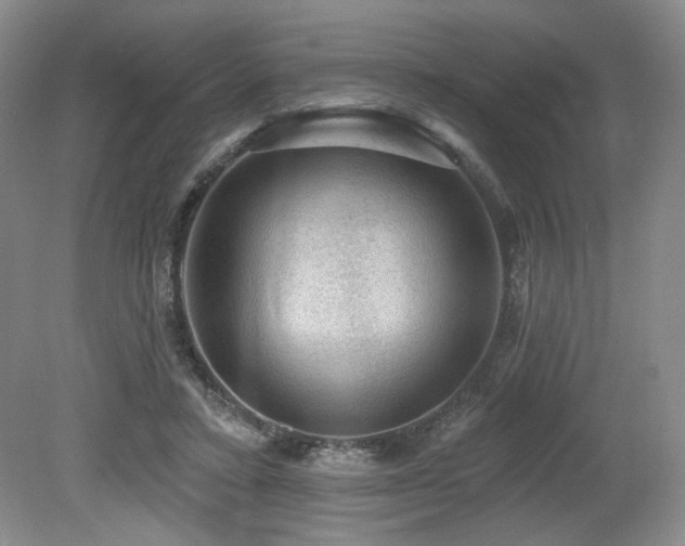 X0000079290403200611171056