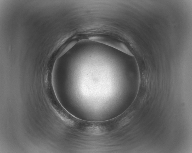 X0000079290404200611171056