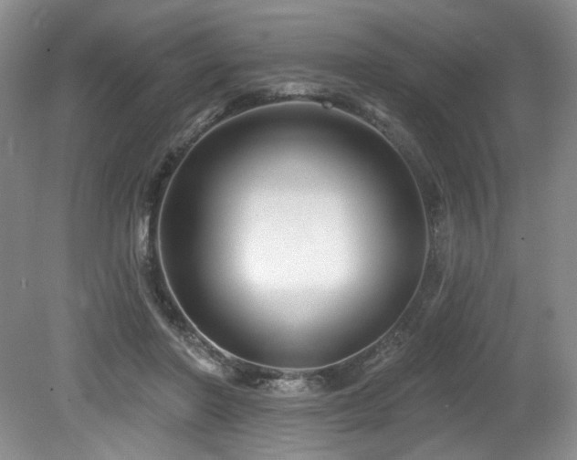 X0000079290406200611171056