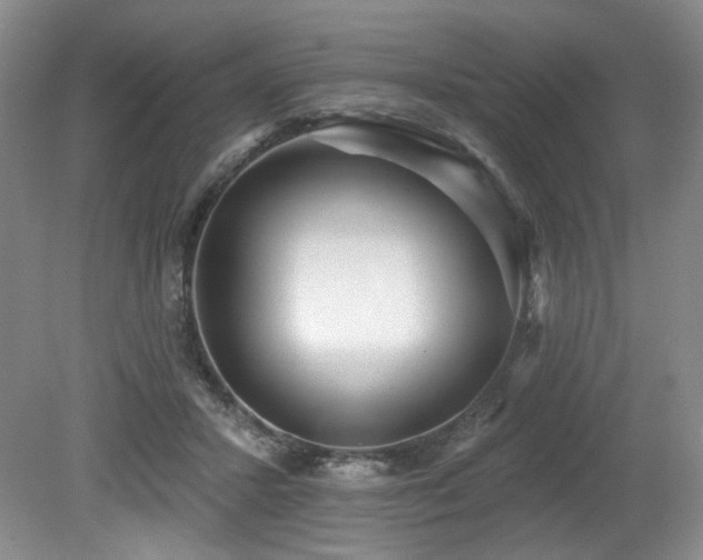 X0000079290407200611171056