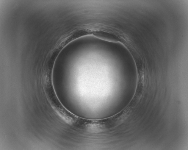 X0000079290408200611171056