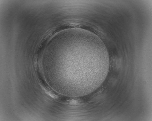 X0000079290412200611171056