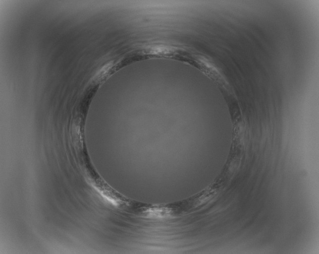 X0000079290415200611171056