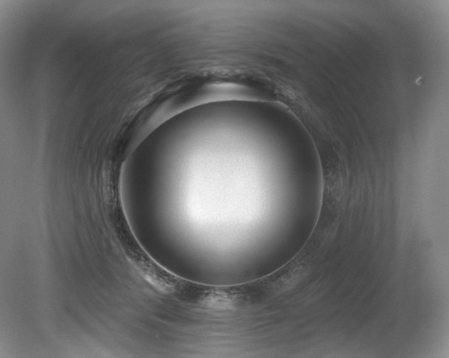 X0000079290416200611171056