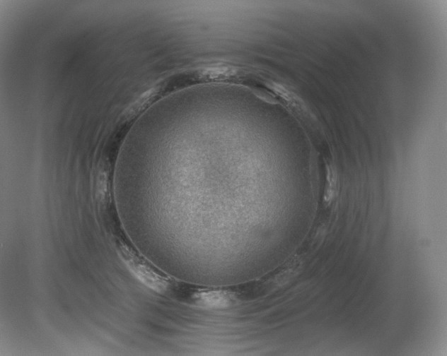 X0000079290417200611171056