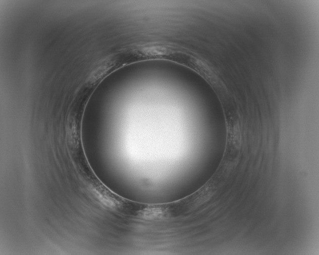 X0000079290418200611171056