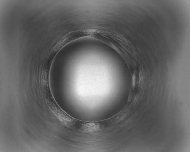 X0000079290421200611171056