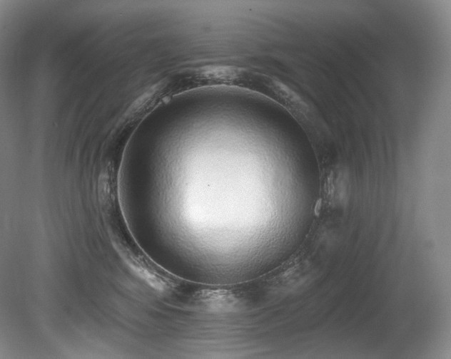 X0000079290424200611171056