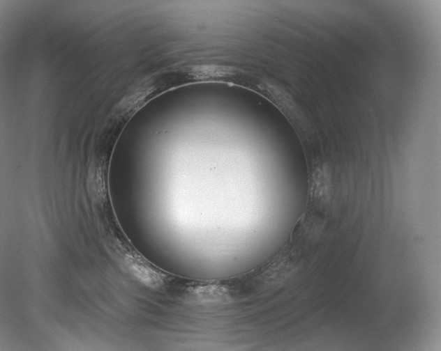 X0000079290426200611171056