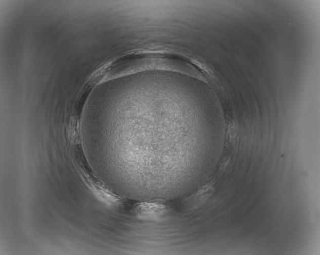 X0000079290429200611171056