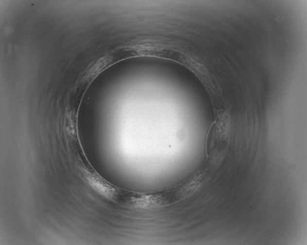 X0000079290430200611171056