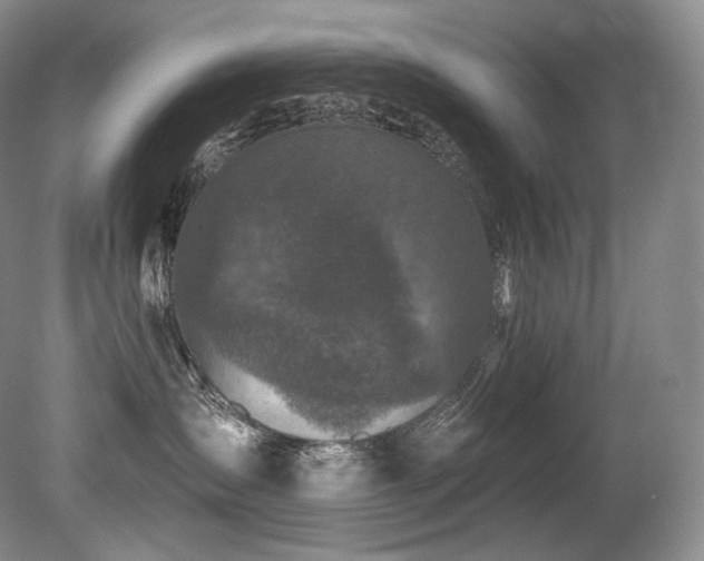 X0000079290431200611171056