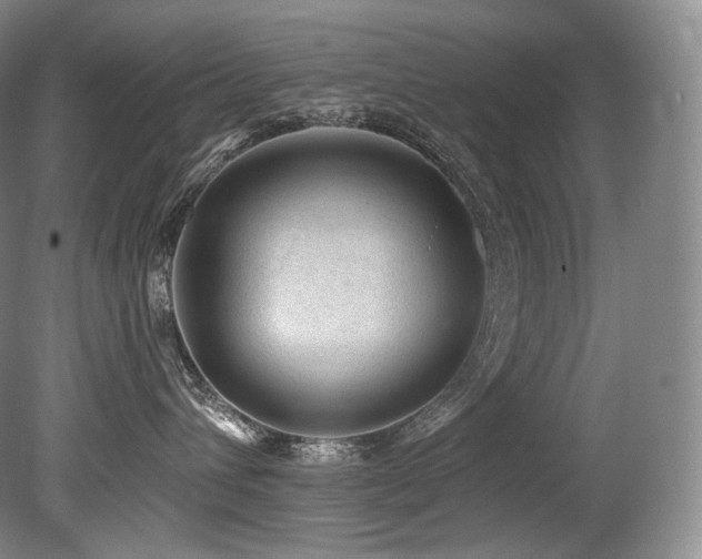 X0000079290432200611171056