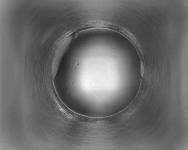 X0000079290433200611171055