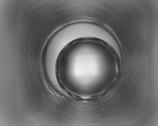 X0000079290435200611171055