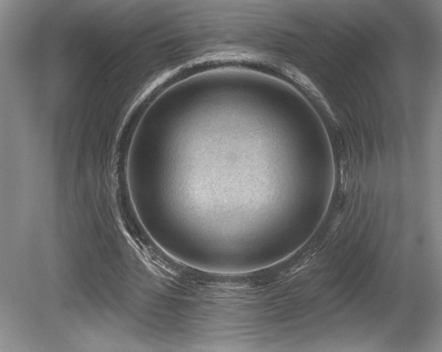 X0000079290436200611171055