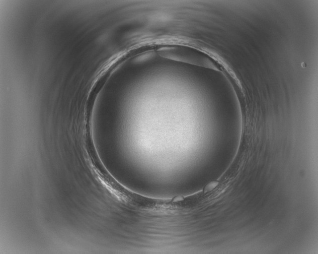 X0000079290437200611171055