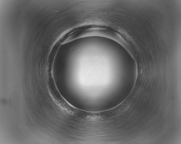 X0000079290440200611171055
